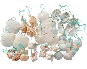 Deluxe White Tropical Seashell Ornament Package, Variety Seashell Christmas Ornament Package, Cut Shell Ornaments, Sand Dollar Ornaments