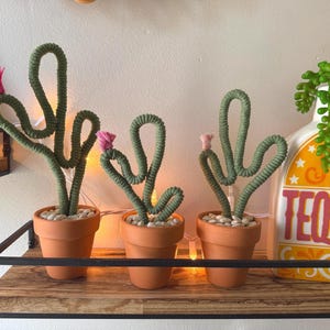 May include: Three small potted cactus plants with pink flowers made of yarn, sitting on a wooden shelf with a string of lights. The shelf is decorated with a yellow and red ceramic tequila bottle with a green plant.