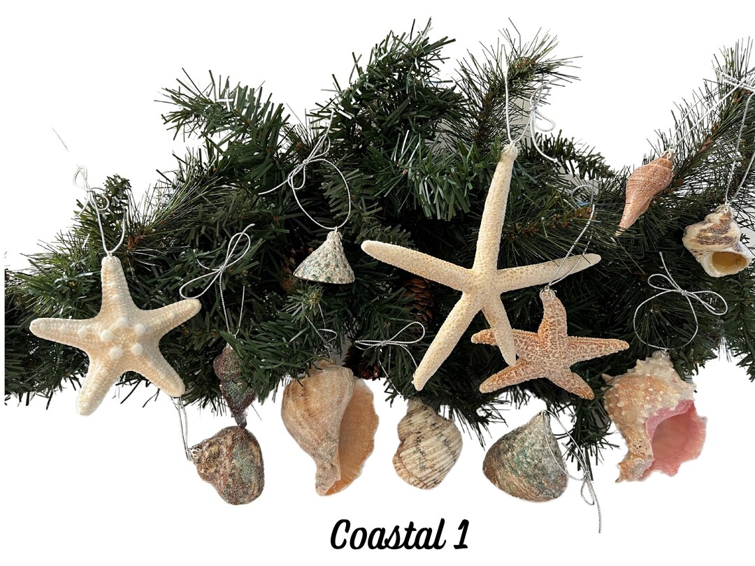 Tropical Seashell Ornament Package, Variety Seashell Christmas Ornament ...