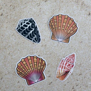May include: Four seashell stickers with white borders are arranged on a sandy surface. The stickers feature a variety of shell designs, including a black and white patterned shell, two fan-shaped shells in shades of orange and pink, and a spiral shell with red and white markings.