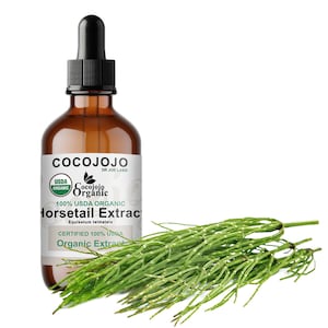 Organic Horsetail Extract: Alcohol-Free USDA Certified Pure Drops