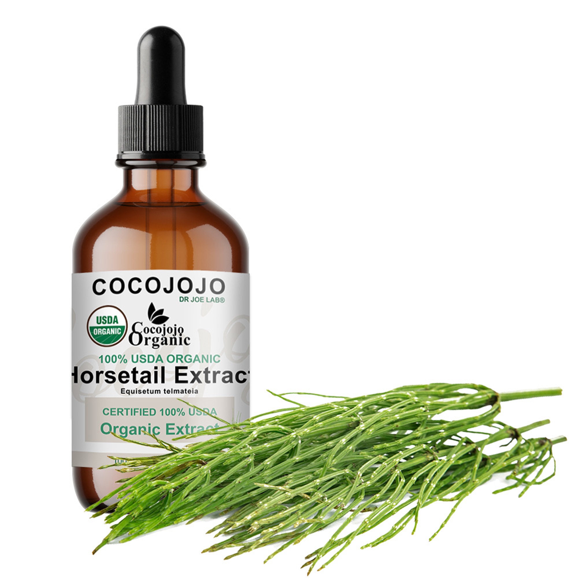 Organic Horsetail Extract USDA Certified Alcohol Free Horsetail Rush Plant Extract Pure Drops Etsy