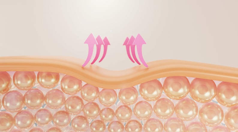 May include: A 3D illustration of skin cells with pink arrows pointing upwards, showing the effect of a product on skin elasticity.