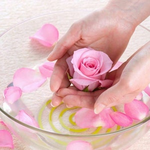 Puede incluir: Un taz&oacute;n de vidrio lleno de agua y p&eacute;talos de rosa, con una sola rosa rosa sostenida en las manos de una persona.