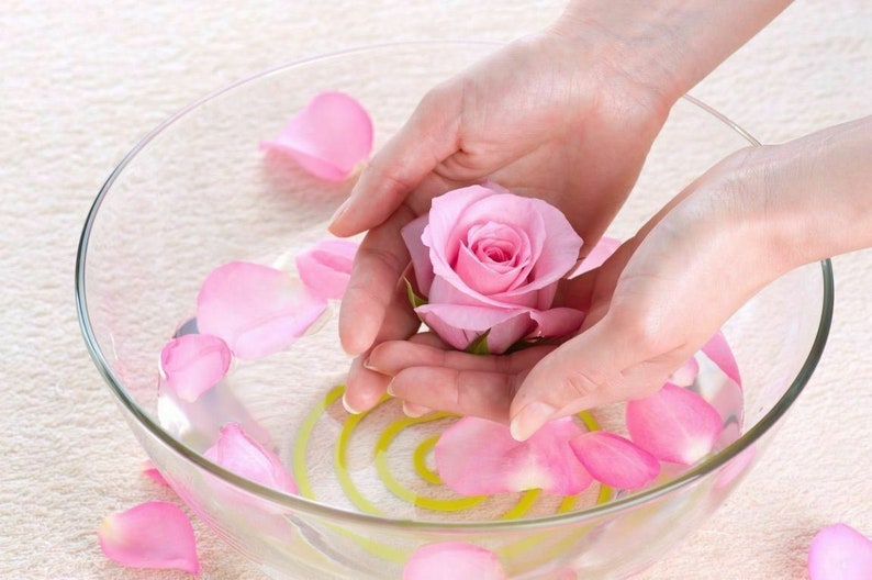 Puede incluir: Un taz&oacute;n de vidrio lleno de agua y p&eacute;talos de rosa, con una sola rosa rosa sostenida en las manos de una persona.