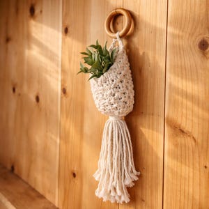 Könnte beinhalten: Ein cremefarbener Makramee-Pflanzenhalter mit einem Holzring zum Aufhängen. Der gewebte Korb enthält grüne Blätterpflanzen und hat eine lange Quaste. Der Pflanzenhalter ist an einer Holzwand befestigt.