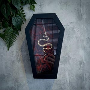 Może przedstawiać: Czarna ramka w kształcie trumny typu shadow box zawierająca biały szkielet węża na tle ciemnoczerwonych róż. Szklany front ramki odbija światło, a całość jest zamontowana na szarej ścianie o wyraźnej fakturze.
