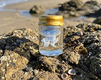 Real Blue Jellyfish Specimen (Papua Species) Preserved in Glass Bottle Ocean Curiosity Decor Natural History Gift Collectible