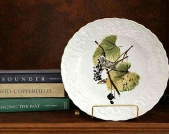 Vintage Alfred Meakin Audubon Birds of America 1940s White Crowned Sparrow Plate Cottagecore Wall Plate Collectors Transferware Bird Plate