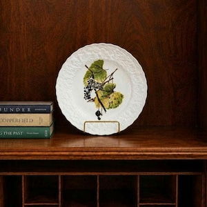 Vintage Alfred Meakin Audubon Birds of America 1940s White Crowned Sparrow Plate Cottagecore Wall Plate Collectors Transferware Bird Plate