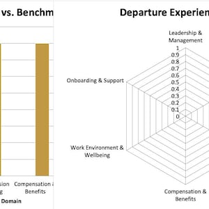 May include: A business chart with two graphs. The first is a bar graph titled "Domain Scores vs. Benchm" showing domain scores. The second is a radar chart titled "Departure Experience Profile (Radar)" with various categories and an average score.