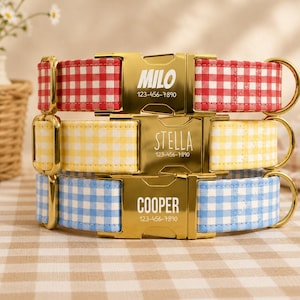 May include: Three pet collars in red, yellow, and blue gingham patterns stacked vertically. Each collar features a gold-toned metal side-release buckle engraved with a name and phone number: MILO 123-456-7890, STELLA 123-456-7890, and COOPER 123-456-7890.