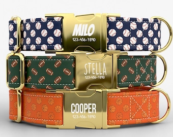 American Sports Personalized Dog Collar with Leash, Custom Engraved Name, Metal Buckle TPPMC-20