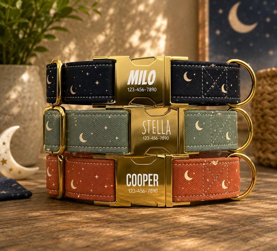 Moon & Stars Celestial Personalized Dog Collar with Leash, Custom Engraved Name, Late Night Style Metal Buckle TPPMC-16