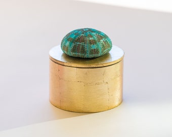 Round Black lacquer box with Gold urchin Seashell Box Black Round Box