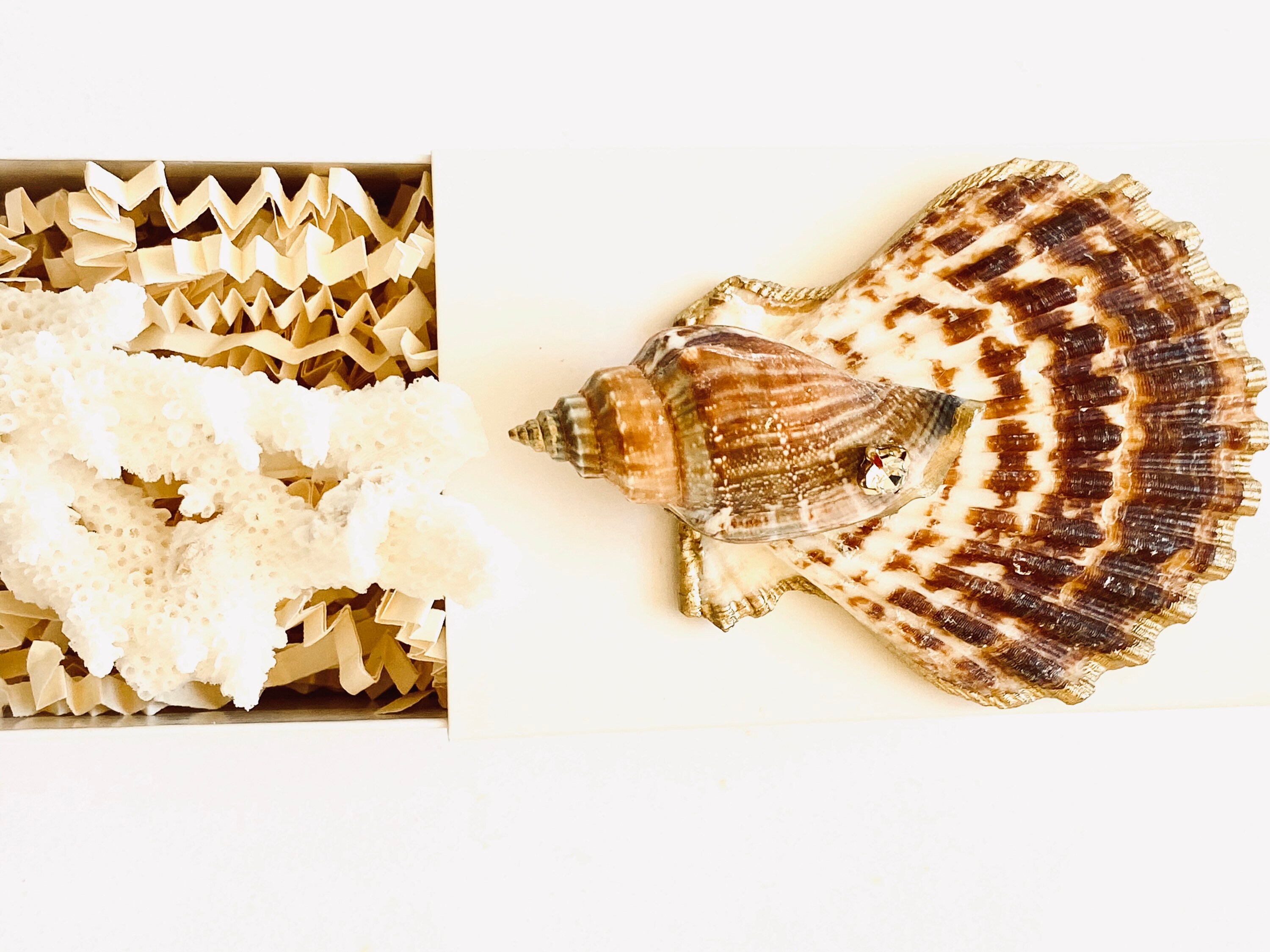 Seashell Gift Box Treasure Gift Box Get Well Soon Gift Box Etsy
