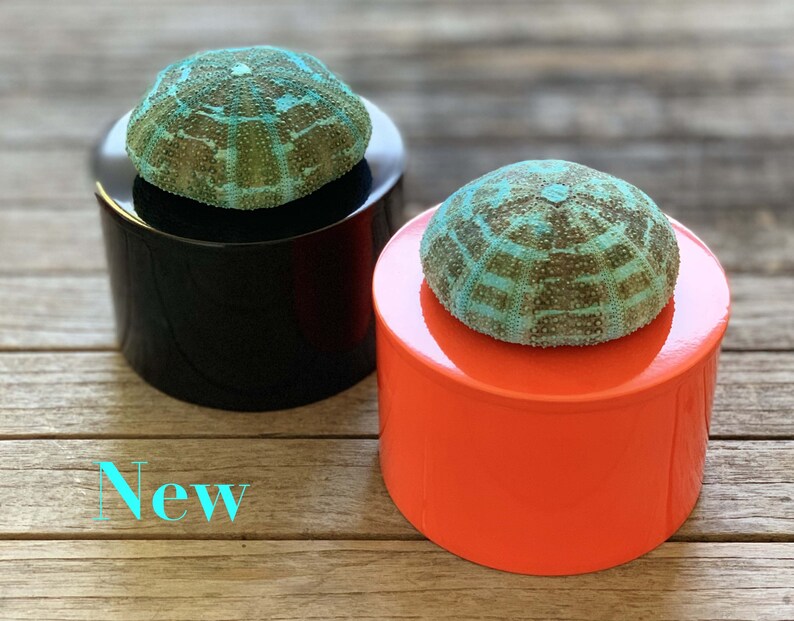 Round Black lacquer box with Gold urchin Seashell Box Black Round Box