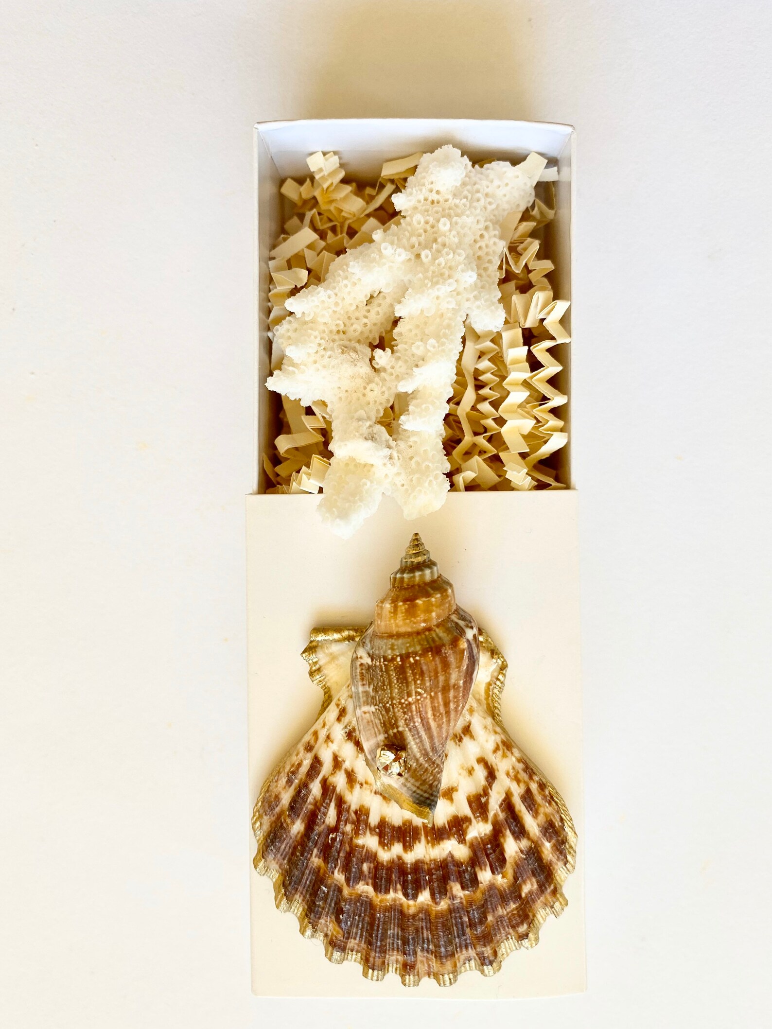 Seashell Gift Box Treasure Gift Box Get Well Soon Gift Box Etsy