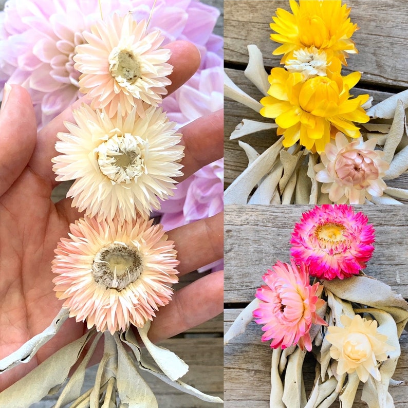 Sage wand ornaments with dried flowers dried flower Etsy