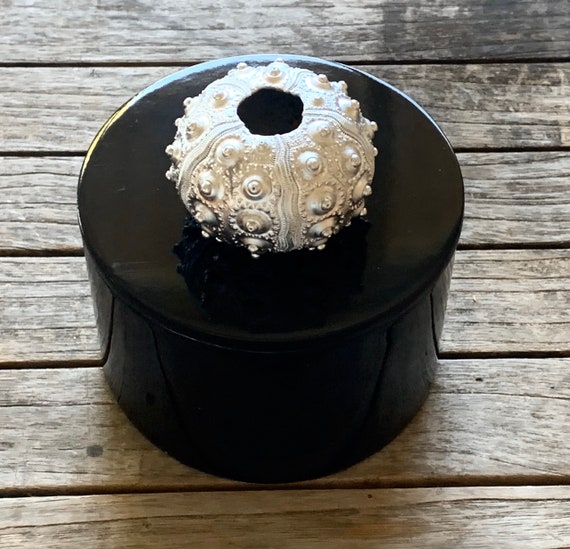 Round Black lacquer box with silver urchin, Black Round Box, Seashell Box