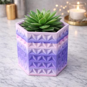 3D Printed Planter | Self-Draining Airflow Pot