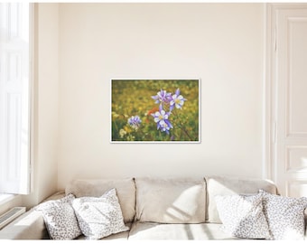 Wildblumen Wand Kunst zum ausdrucken, Akelei, Berg Natur Druck, Wandern, Colorado, Instant Download