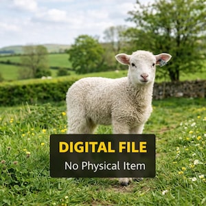 Op de afbeelding: Een pluizig wit lam staat in een veld met groen gras en gele wilde bloemen. De achtergrond toont glooiende groene heuvels, bomen en een bewolkte lucht. Een zwart bord onderaan leest "DIGITAL FILE" en "No Physical Item."