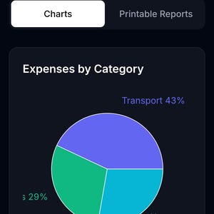 May include: A mobile app screen displays financial analytics. The app, FinScan USA, shows a pie chart breaking down expenses by category, including transport at 43% and other categories. The app also offers detailed insights and printable reports.
