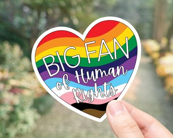 Big Fan of Human Rights – Sticker | Water Resistant Vinyl Decal