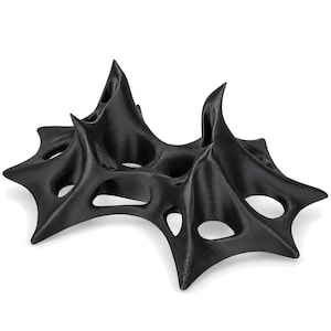 May include: A black, multi-pointed, organic-shaped object with a series of interconnected, hollow, web-like structures and several circular openings throughout its surface, featuring a smooth, matte finish and a complex, branching, three-dimensional form.