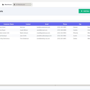 May include: A digital inventory management system interface titled ELDON-Digital showing a customer database table. The screen displays columns for code, customer name, contact, email, phone, city, type, credit limit, and active status.