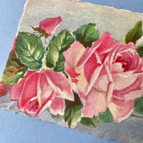 Carte ancienne motif roses Bonne Année