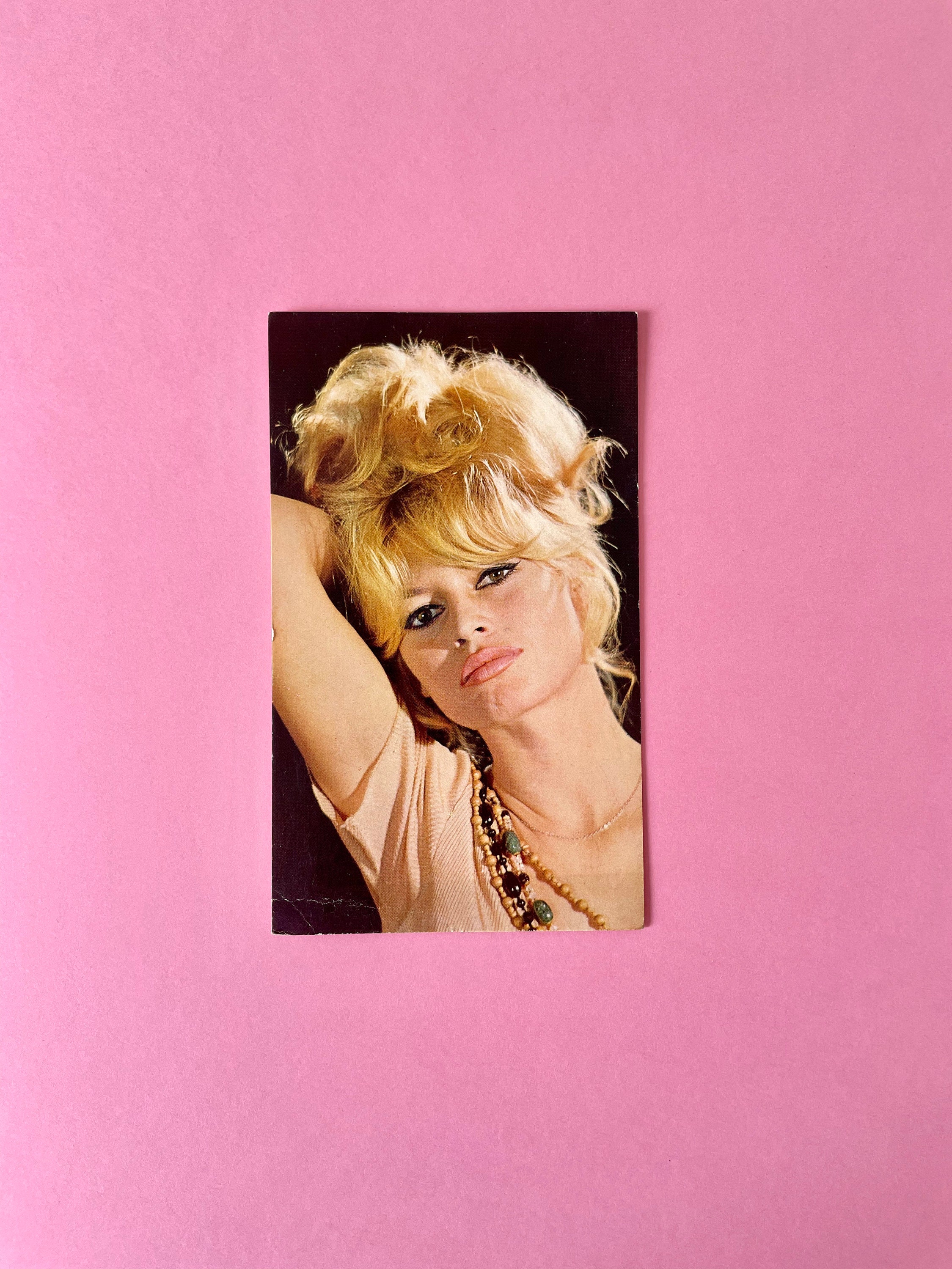 Defi de la mode par Sam Levin ブリジットバルドー Brigitte Bardot: Levin, Sam, Levin, Sam: 9782912683014