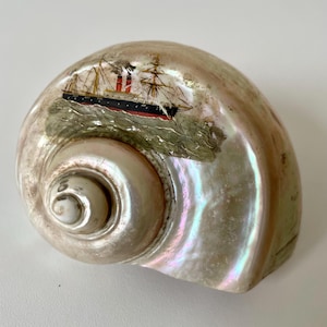 Antique art turban Shell - Art Piece - painted boat