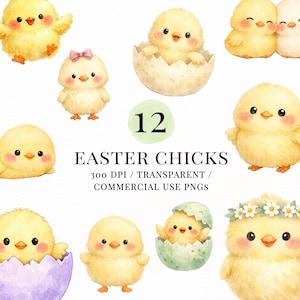 Può includere: Una collezione di dodici pulcini pasquali ad acquerello in varie pose. Alcuni pulcini sono in uova rotte e uno indossa una corona di fiori. Il testo "Easter Chicks" è visualizzato sotto il numero 12.