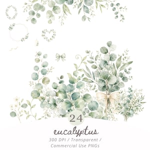 Puede incluir: Ilustración en acuarela de hojas y ramas de eucalipto en tonos verdes y blancos. La imagen incluye coronas, ramos y ramitas individuales. El texto en la parte inferior dice "24 eucalyptus" y "300 DPI / Transparent / Commercial Use PNGs."