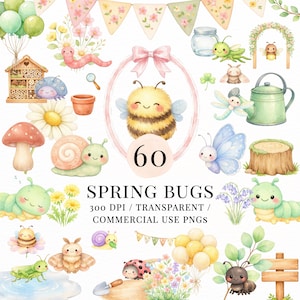 May include: Watercolor illustration featuring a collection of spring-themed bugs and elements. Includes a smiling bee, caterpillar, snail, butterfly, and ladybug. The text "SPRING BUGS" and "60" are also present.