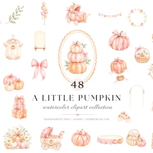 Pumpa Baby Clipart, 48 rosa små pumpor PNG, höstbabyshower Clipart-paket, akvarell pumpa och rosettgrafik för kommersiellt bruk
