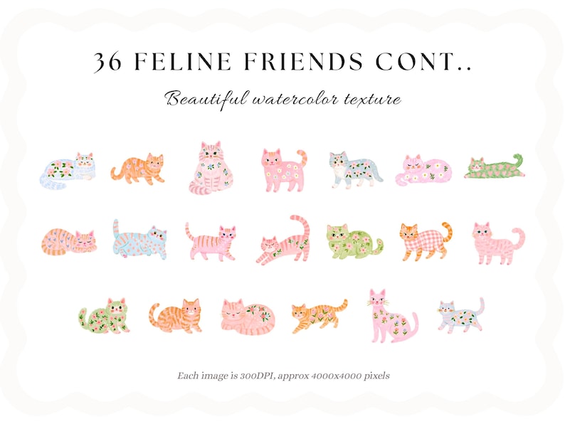 May include: A digital collection titled 36 FELINE FRIENDS CONT.. featuring various watercolor cats in pink, orange, green, and blue hues with floral and striped patterns. The text includes Beautiful watercolor texture and Each image is 300DPI, approx 4000x4000 pixels.
