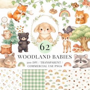 Könnte beinhalten: Aquarellillustrationen von Waldtieren, darunter ein Fuchs, ein Bär, ein Hase, ein Reh, ein Eichhörnchen und ein Waschbär. Das Bild enthält einen Regenbogen und Muster. Der Text lautet "Woodland Babies" und "62".