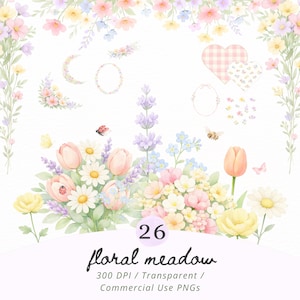 Pastel Wildflower Clipart PNG Bundle, Coquette Floral Meadow with Bow & Ribbon Frames, Butterflies Bee Ladybugs, Baby in Bloom Baby Shower