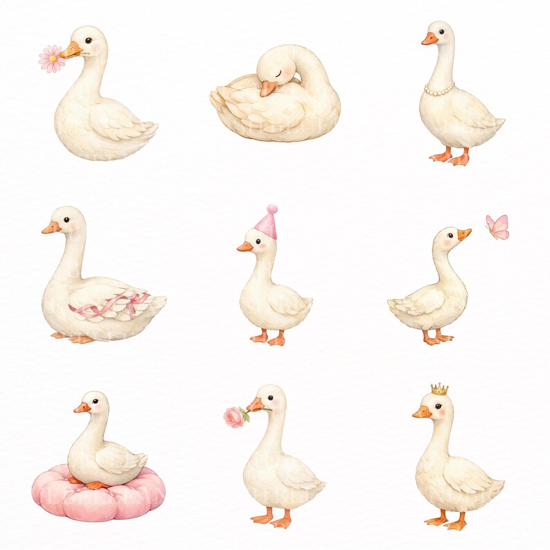 Watercolor Girly Goose Clipart, Pink Silly Goose PNG, Coquette Goose ...