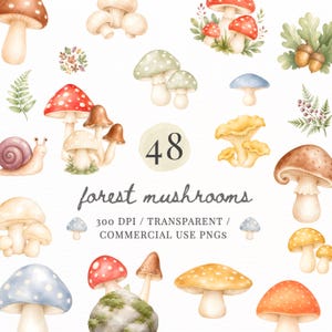 May include: A collection of watercolour illustrations featuring various forest mushrooms, acorns, and a snail. The text reads 48 forest mushrooms, 300 DPI / TRANSPARENT / COMMERCIAL USE PNGS. The mushrooms are depicted in red, brown, yellow, and blue.