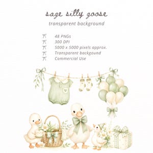 May include: A digital illustration set titled sage silly goose featuring 48 PNG files at 300 DPI. The graphics include a sage green baby romper, socks, balloons, a wicker basket with flowers, three geese, and a gift box with a checkered bow.