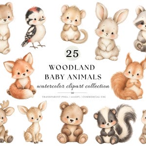 Può includere: Una collezione di 25 illustrazioni ad acquerello di cuccioli di animali del bosco, tra cui una volpe, un coniglio, un procione, un gufo, uno scoiattolo, un riccio, un cervo, un orso, una puzzola e un uccellino. Il testo recita 25 WOODLAND BABY ANIMALS.