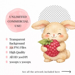 May include: A watercolor illustration of a smiling bunny holding a large red raspberry. The bunny is beige with pink cheeks and long ears. Text includes "UNLIMITED COMMERCIAL USE!" and details about the artwork.