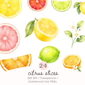 May include: A collection of watercolour citrus illustrations featuring sliced lemons, grapefruits, oranges, and limes, along with whole fruit, green leaves, and white blossoms. The text 24 citrus slices 300 DPI Transparent Commercial Use PNGs is included.