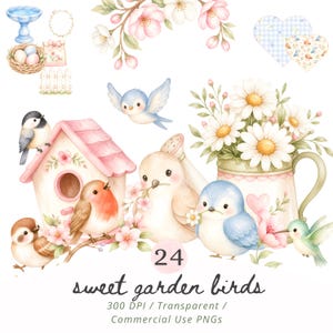 Aquarell Vögel Clipart PNG Bundle, Gartenvogel Kunst, Vintage Blumenvogel PNG, Kinderzimmer Dekor, Junk Journal, Rotkehlchen, Gartenarbeit, kommerzielle Nutzung