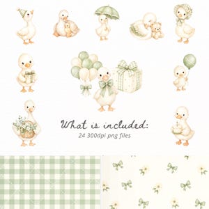 May include: Watercolor illustrations of adorable ducklings in various poses, some with accessories like balloons, gifts, and umbrellas. The image includes the text "What is included: 24 300dpi png files". Also included are two patterned backgrounds.