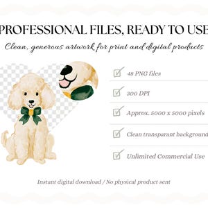 May include: A digital graphic set featuring a watercolor-style cream poodle wearing a dark green bow tie. The text reads: PROFESSIONAL FILES, READY TO USE, Clean, generous artwork for print and digital products, 48 PNG files, 300 DPI, 5000 x 5000 pixels, Clean transparent backgrounds, Unlimited Commercial Use.